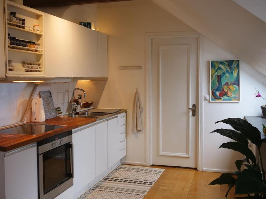 Spacious Penthouse Close To Center Stoccolma